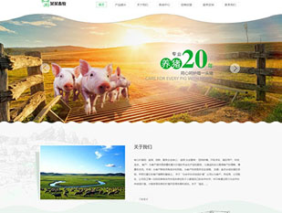响应式香猪畜牧养殖合作社网站模板PC网站模板