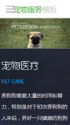 宠物服务模板手机网站模板
