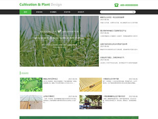 水稻种植模板PC网站模板