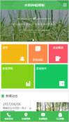 水稻种植模板手机网站模板