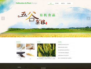 水稻培育模板PC网站模板