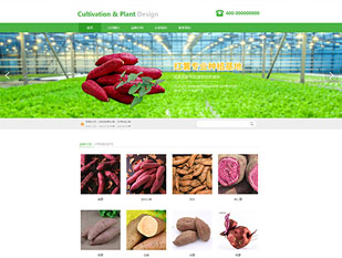 红薯种植模板PC网站模板