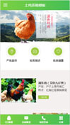 土鸡养殖模板手机网站模板