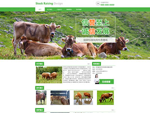 肉牛养殖模板PC网站模板