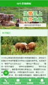 肉牛养殖模板手机网站模板