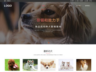 宠物交易模板PC网站模板