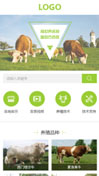 畜牧养殖模板手机网站模板