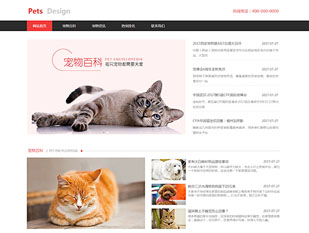 宠物资讯模板PC网站模板