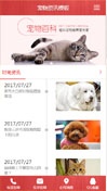 宠物资讯模板手机网站模板