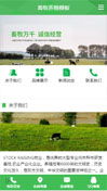 畜牧养殖模板手机网站模板