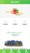 精品水果模板手机网站模板