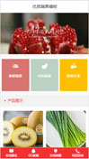 优质蔬果模板手机网站模板