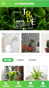 花卉植物贸易模板手机网站模板