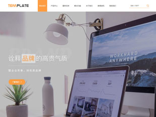 产品相关模板PC网站模板
