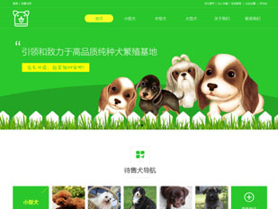 宠物交易模板PC网站模板