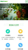 蔬菜水果基地模板手机网站模板